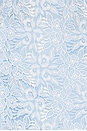 view 5 of 5 Bethany Two Tone Lace Bustier in Light Blue & White
