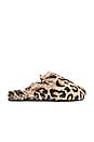 view 1 of 5 ZAPATILLAS LOIS in Leopard