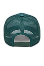 view 2 of 2 Star Power Trucker Hat in Green