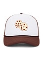 view 1 of 2 Gonzo Dice Trucker Hat in Brown