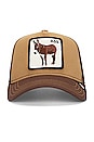 view 1 of 3 CHAPEAU in Brown