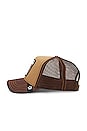 view 3 of 3 CHAPEAU in Brown