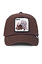 view 1 of 3 Porcupine Hat in Dark Brown