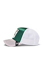 view 3 of 3 Allablur Trucker Hat in Tea Green