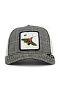 view 1 of 3 Moon Firefly Trucker Hat in Black
