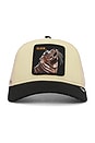 view 1 of 3 The Slick Seal Trucker Hat in Beige