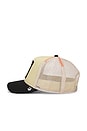 view 3 of 3 The Slick Seal Trucker Hat in Beige