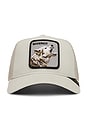 view 1 of 3 Howling in Harmony Trucker Hat in Grey
