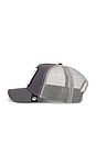 view 3 of 3 The Koala Trucker Hat in Grey