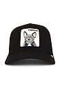view 1 of 3 CASQUETTE FRENCHIE in Void