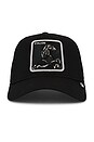 view 1 of 3 GORRA DE CAMIONERO STALLION in Void