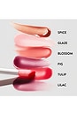 view 7 of 7 HYDRA-BARRIER GEL GLOSS リップグロス in Spice
