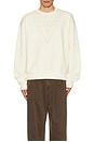 view 3 of 4 SUDADERA DEPORTIVA CUELLO REDONDO VINTAGE TRIANGLE in Sandy Shore