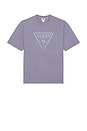 view 1 of 4 Vintage Triangle Tee in Dusty Lavender Multi