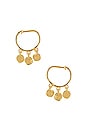view 1 of 2 BOUCLES D'OREILLES CHLOE in Gold