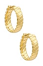 view 1 of 3 Laney Earrings in Gold