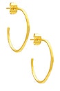 view 1 of 3 Taner Small Hoops in Gold