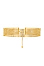 view 2 of 2 Newport Link Choker in Gold