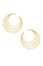view 1 of 2 Casey Profile Hoops in Gold