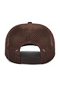 view 3 of 3 Hey Cowboy Foam Trucker Hat in Brown