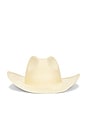 view 1 of 2 Rhett Hat in Natural