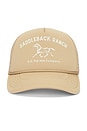 view 2 of 3 Saddleback Ranch Hat in Tan