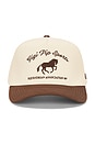 view 2 of 4 Sports Trucker Hat in Brown & Cream