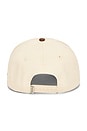 view 3 of 4 Sports Trucker Hat in Brown & Cream