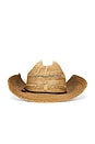 view 2 of 3 Davey Cowboy Hat in Washed Tan