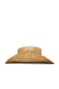 view 5 of 4 CHAPÉU DE COWBOY DAVEY in Washed Tan