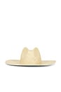 view 1 of 4 CHAPEAU DE COWBOY FAYE in Natural