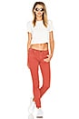 view 4 of 4 JEAN SKINNY THE SKINNY in Terracotta