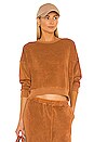 view 1 of 4 The Microterry Teammate Sweatshirt in Rust