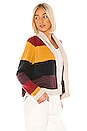 view 2 of 4 The Stripe Lodge Cardigan in Sunbeam Multi