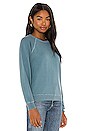 view 2 of 4 SWEAT THE SHRUKEN in Gaucho Blue