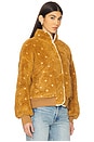 view 3 of 5 The Blackbird Jacket in Teddy