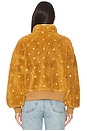 view 4 of 5 The Blackbird Jacket in Teddy
