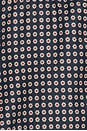 view 6 of 6 JAQUETA COM MEIO ZÍPER PRINT MIX PLUSH TERRAIN in Mini Frosted Daisy & Navy