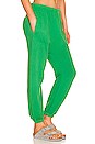 view 2 of 4 PANTALON JOGGER SWEAT in Bright Green