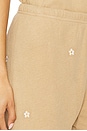 view 6 of 6 The Stadium Sweatpant With Daisy Embroidery in Khaki