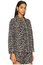 view 2 of 5 The Cove Shirt in Leopard