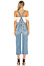 view 3 of 3 Alek Slouchy Overall in The Wild One