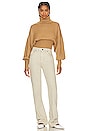 view 4 of 4 Jovany Turtleneck Sweater in Camel