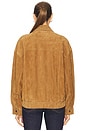 view 4 of 6 Wren Suede Bomber in Cognac