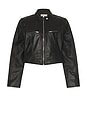 view 6 of 7 Danica Leather Racer Jacket in Black