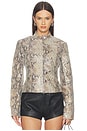 view 1 of 8 x Sophia Kelly Amari Leather Moto in Python