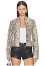 view 2 of 8 x Sophia Kelly Amari Leather Moto in Python