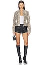 view 6 of 8 x Sophia Kelly Amari Leather Moto in Python
