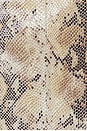 view 7 of 8 x Sophia Kelly Amari Leather Moto in Python