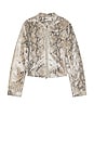 view 8 of 8 x Sophia Kelly Amari Leather Moto in Python
